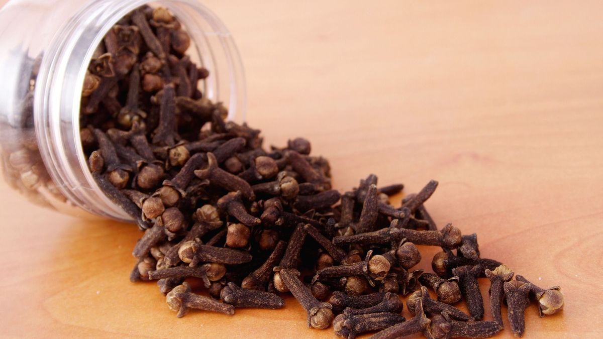 Clove: its benefits and uses